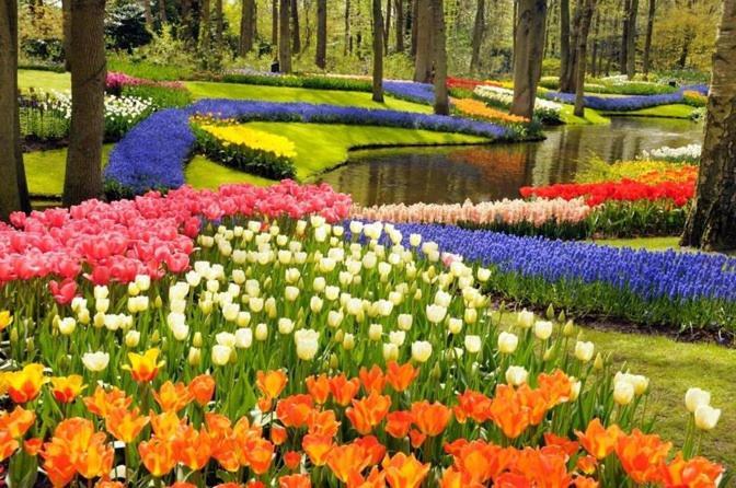Guesthouse At The Amstel River With 2Br 2Ba And Garden 阿姆斯特尔芬 外观 照片